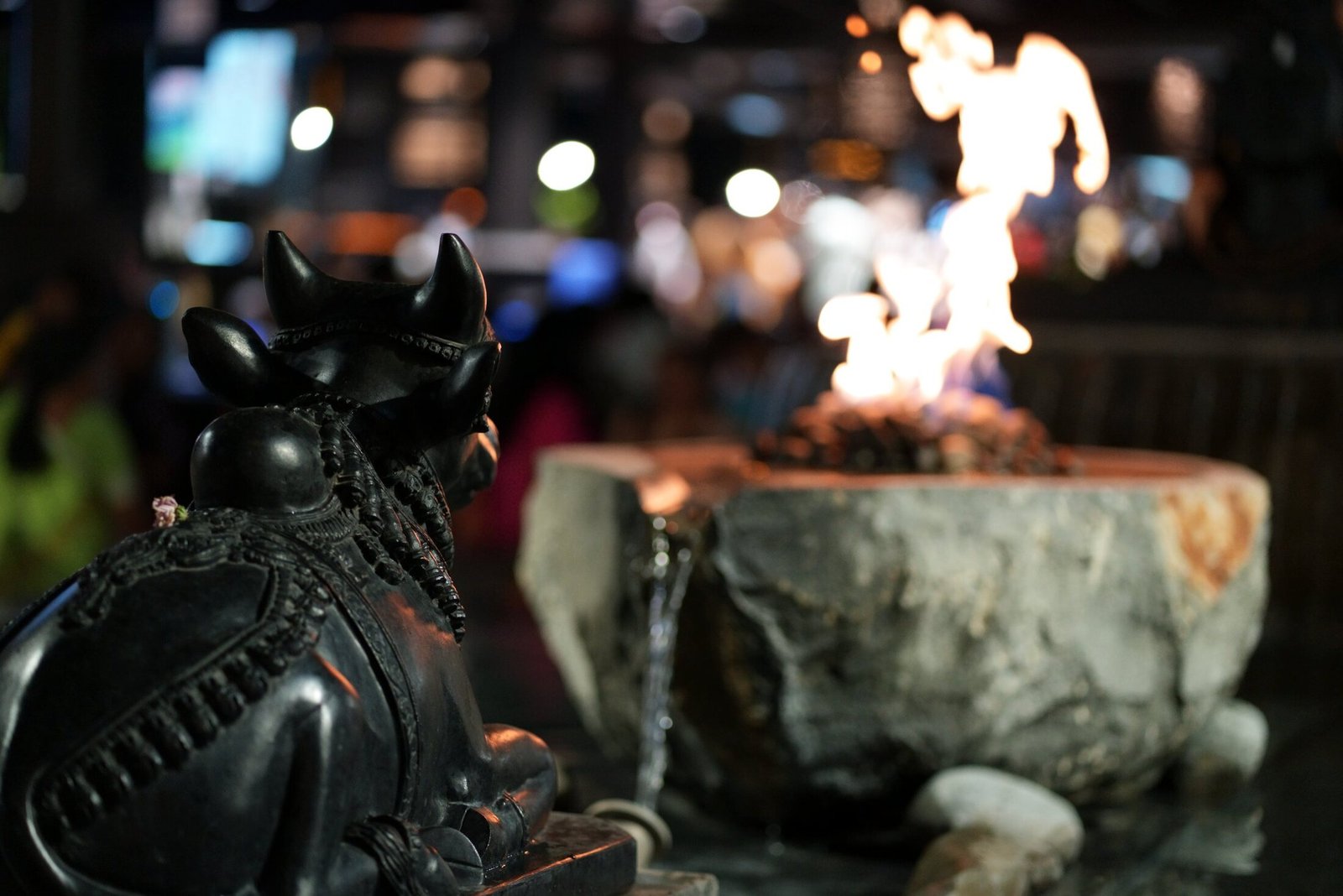 The Eternal Flame, Rameshwaram Cafe